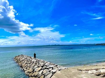 🏖️ 타야 해변(타야카이간) 이미지 2